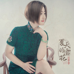 收聽雲菲菲的夏天的雪花歌詞歌曲