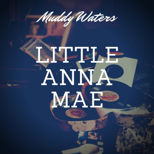 Listen to They Call Me Muddy Waters song with lyrics from Muddy Waters