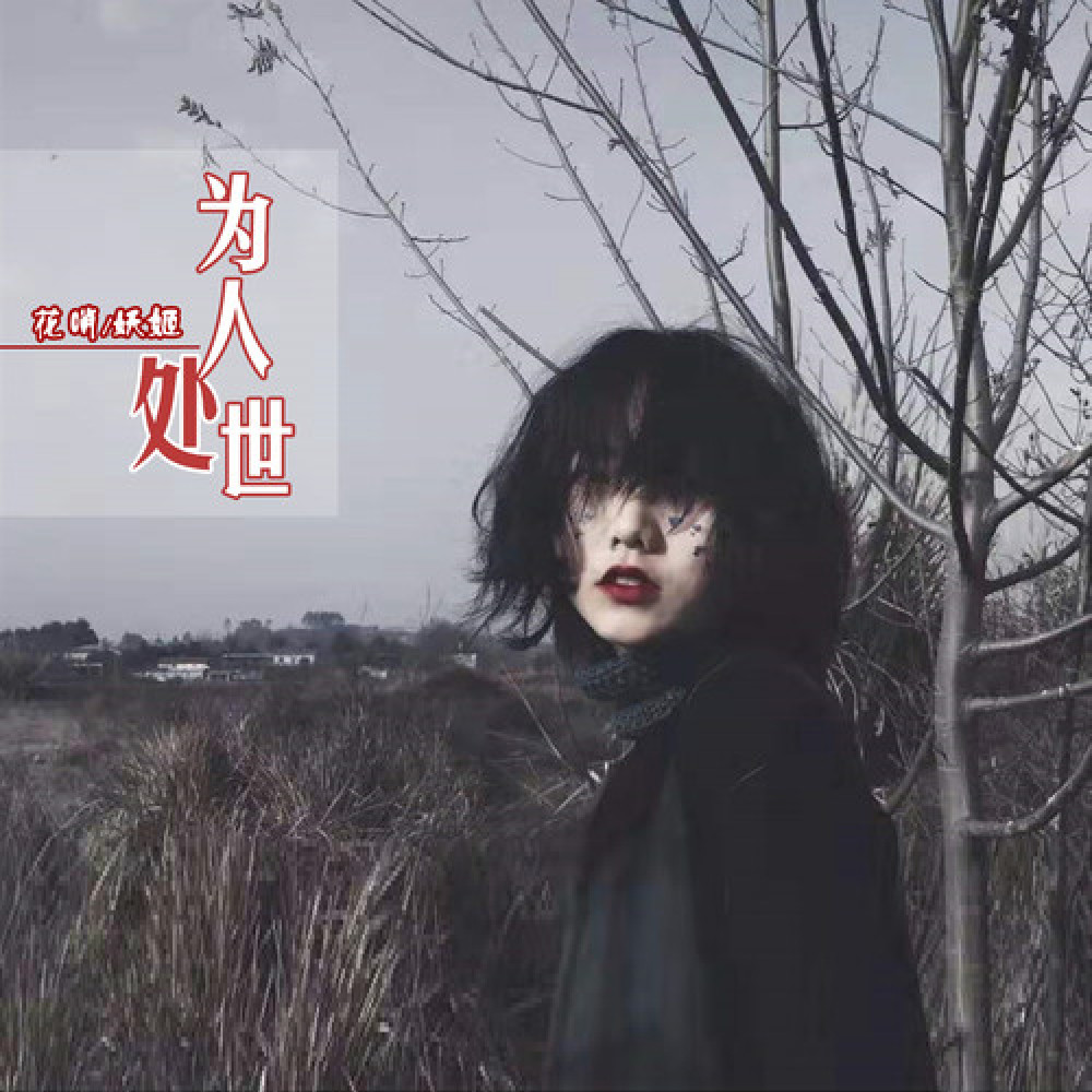 No芭蕾Nobody (DJ版)