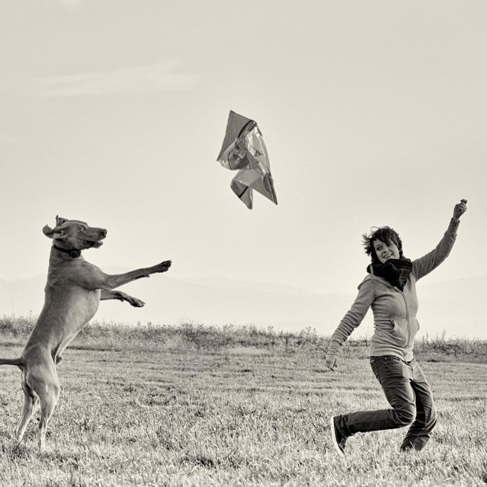 Flying (to you) (feat. Teigan Hincks)