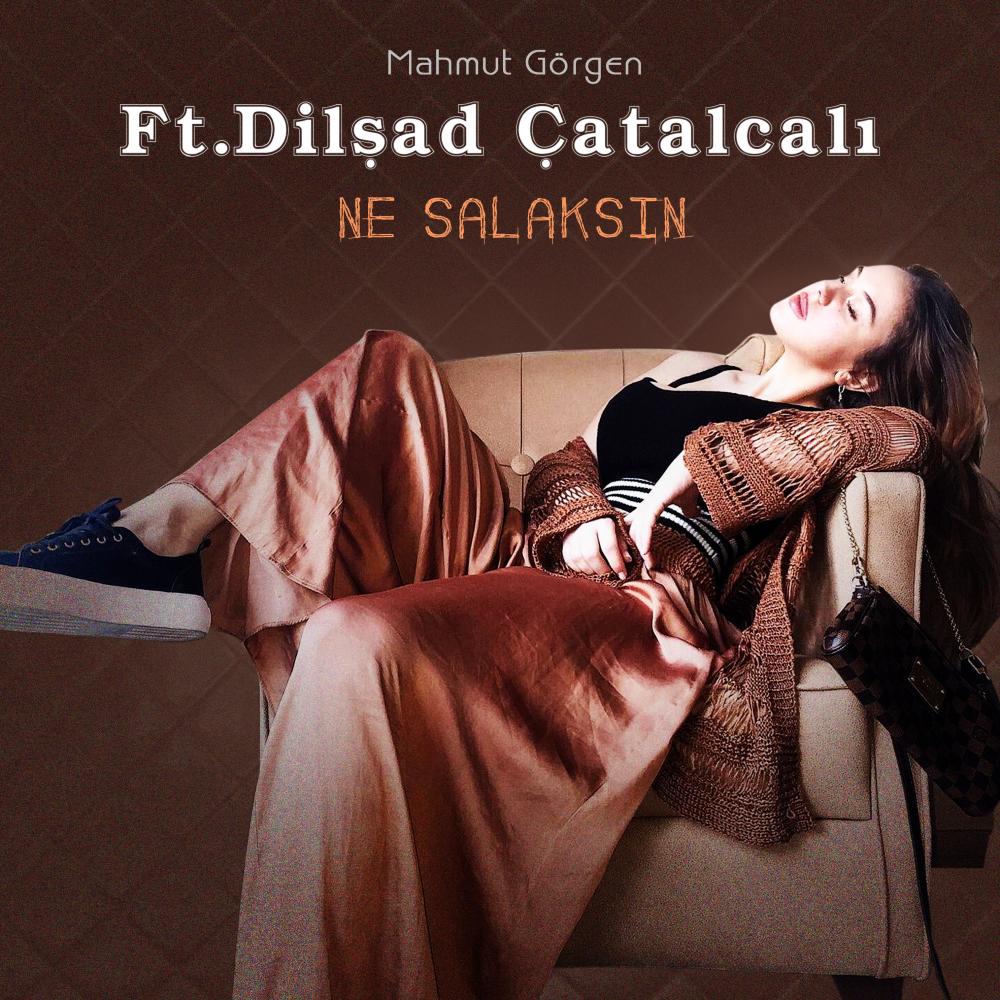 Ne Salaksın
