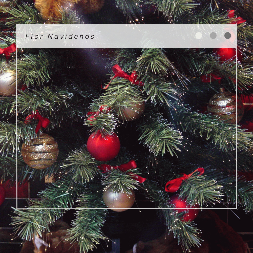 We Wish You A Merry Christmas: Christmas Ambience