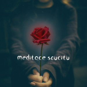 Meditace Liliana的专辑Meditace soucitu