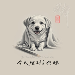 Album 今天睡到自然醒 from 风哥