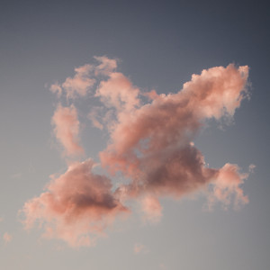 Listen to Rest In Flight song with lyrics from Hollie Kenniff