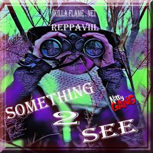 Tha Network的專輯something 2 see _-killa flame . net _ (reppa viil) (Explicit)