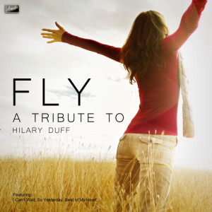 ดาวน์โหลดและฟังเพลง Fly พร้อมเนื้อเพลงจาก Ameritz Tribute Club