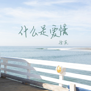 Listen to 什么是爱情 song with lyrics from 徐苑