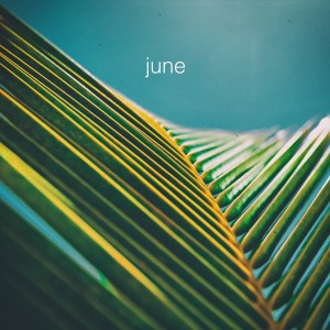 The Foreign Exchange的專輯June