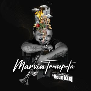 收聽Marvin Trompeta o Tres Latino的Yo Puedo Ser (feat. Orquesta La Reunion)歌詞歌曲