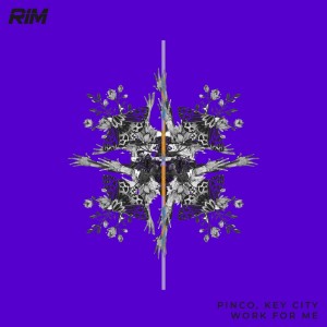 Listen to Rushing song with lyrics from Pinco