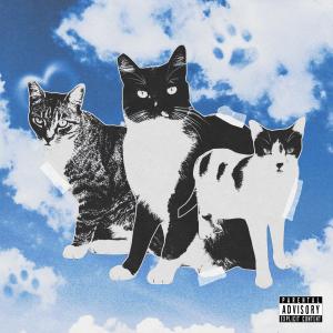 Caturday (Explicit) dari Tobi Lou