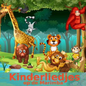 Listen to Duck Tales Theme (Marimbaversie) song with lyrics from Kinderliedjes