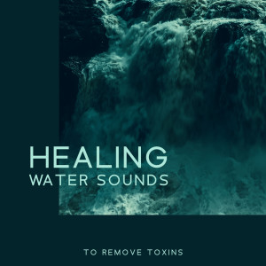 ดาวน์โหลดและฟังเพลง Inner Balance พร้อมเนื้อเพลงจาก Calming Water Consort
