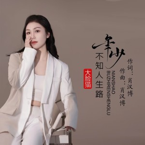 Listen to 年少不知人生路（DJ彭锐版） (完整版) song with lyrics from 大脸猫