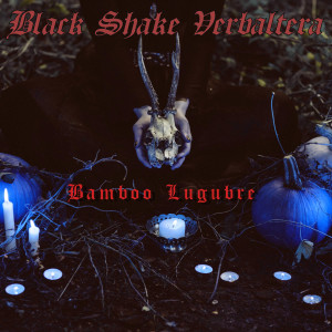 收聽Black Shake Verbaltera的Bamboo Lugubre (Explicit)歌詞歌曲
