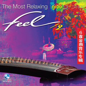 อัลบัม Feel, Vol. 2 (The Most Relaxing "Gu - Zang") ศิลปิน YANG PEI - XIUN