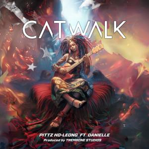 Danielle的專輯Catwalk (feat. Danielle) [Radio Edit]
