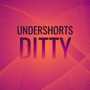 群星的專輯Undershorts Ditty