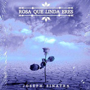Listen to Rosa Que Linda Eres (Extended Mix) song with lyrics from Joseph Sinatra