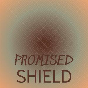 Various的专辑Promised Shield