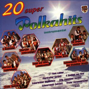 Listen to Hey-Man-Polka song with lyrics from Zillertaler Schurzenjager