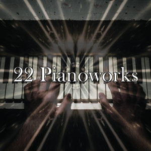 Piano Tribute Players的專輯22 Pianoworks