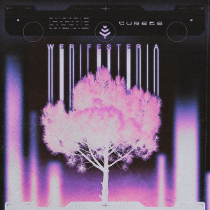 Album Werifesteria (Explicit) from Curses