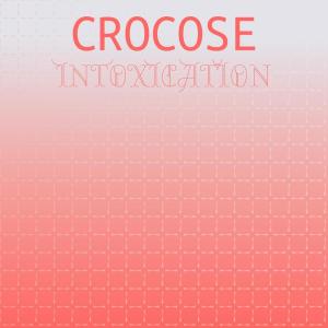 Various Artists的專輯Crocose Intoxication