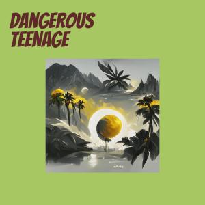 Dede的專輯Dangerous Teenage