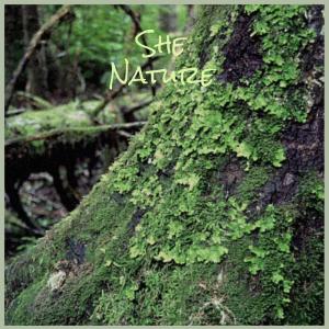 ดาวน์โหลดและฟังเพลง Feed Ours พร้อมเนื้อเพลงจาก Iina