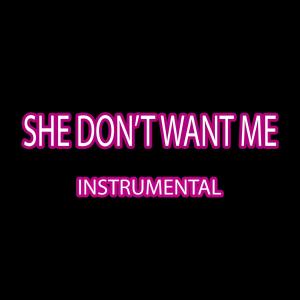 ดาวน์โหลดและฟังเพลง She Don't Want Me (Instrumental) พร้อมเนื้อเพลงจาก SiNa Beats