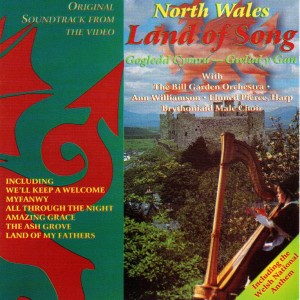 收聽Bill Garden Orchestra的David of the White Rock - Dafydd y Gareg Wen歌詞歌曲