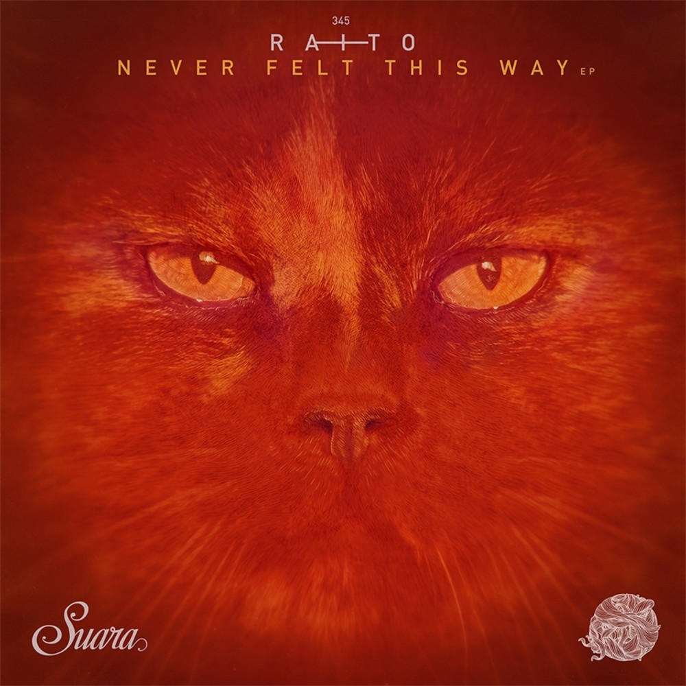 Never Felt This Way (Original Mix)