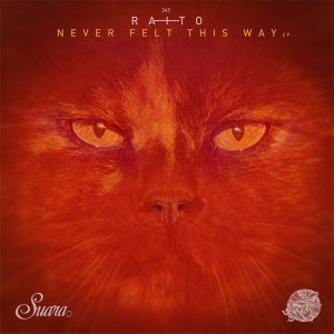 ดาวน์โหลดและฟังเพลง Acid Overflow (Original Mix) พร้อมเนื้อเพลงจาก Raito