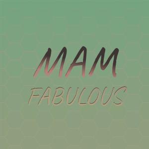 Various Artists的專輯Mam Fabulous