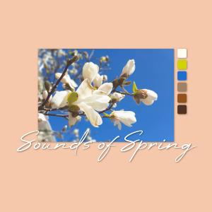 정은임的專輯Sounds of Spring