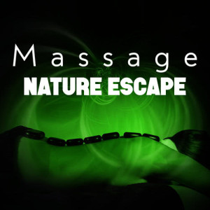 ดาวน์โหลดและฟังเพลง Birdhide พร้อมเนื้อเพลงจาก Massage Music
