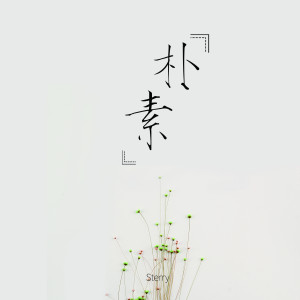 Listen to 朴素 song with lyrics from Sterry