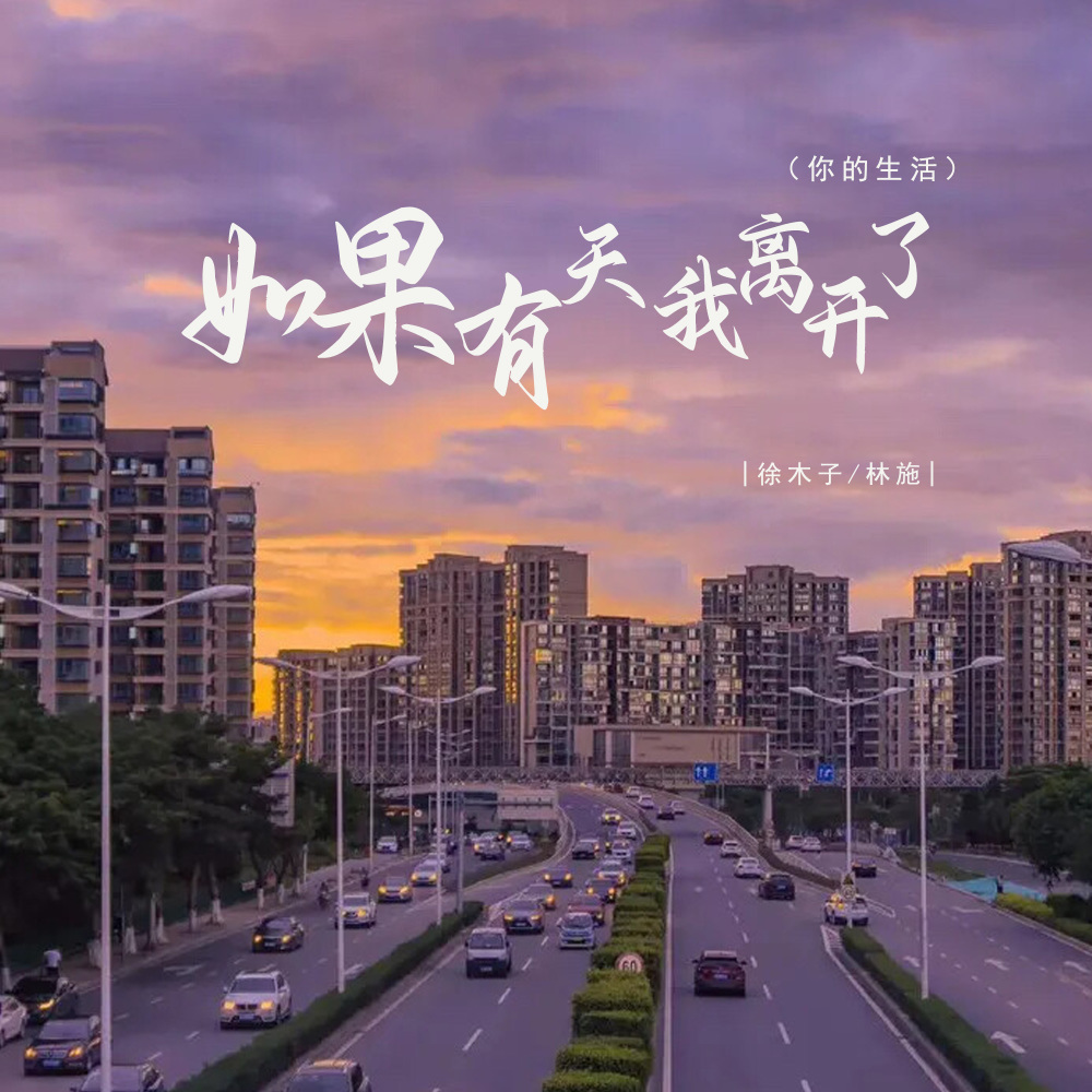 如果有天我离开了 (你的生活) (伴奏)