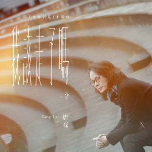 Listen to 我该走了吗 (2019《青春信见》主题歌) song with lyrics from 唐磊