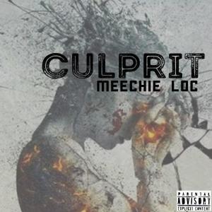 ดาวน์โหลดและฟังเพลง Culprit(feat. . AstrodogBeats) (Explicit) พร้อมเนื้อเพลงจาก Meechie Loc
