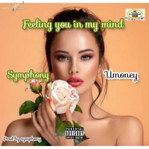 Symphony的專輯Feeling You in My Mind (Explicit)