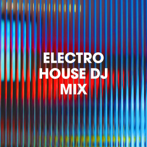 Deep House Music的专辑Electro House DJ Mix