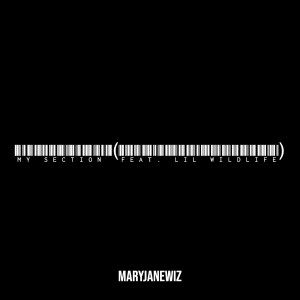 Listen to My Section (Explicit) song with lyrics from Maryjanewiz