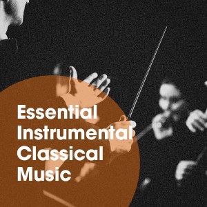 Album Essential Instrumental Classical Music oleh Relaxing Classical Music Ensemble