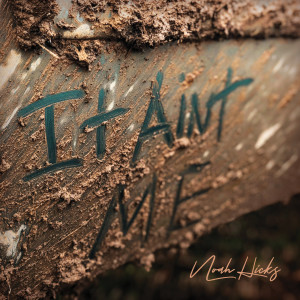 收听Noah Hicks的It Ain't Me歌词歌曲
