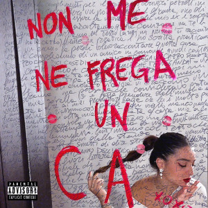 Listen to non me ne frega un ca (Explicit) song with lyrics from Giuliana Cascone