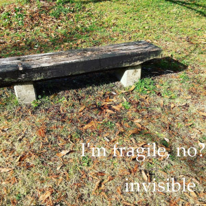 Invisible的专辑I'm fragile, no?