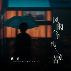 Album 风雨不解离别苦 from 婉婷